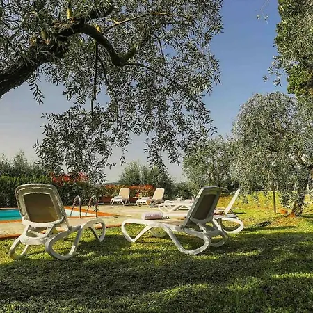 Belvedere Fiorella *