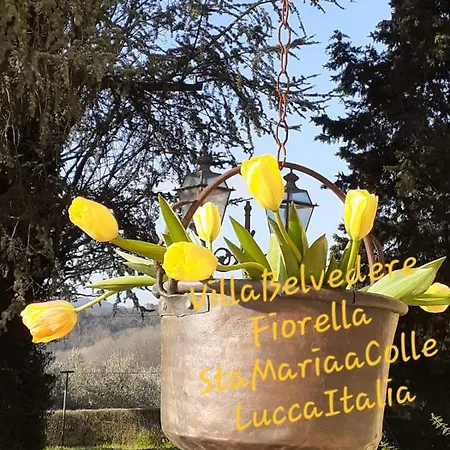 Belvedere Fiorella * 루카