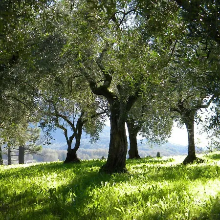 빌라 Belvedere Fiorella *